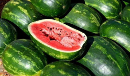 网红吃瓜最新爆料图片,揭秘娱乐圈惊人内幕！