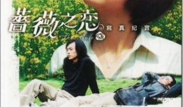 蔷薇之恋电视剧,青春校园的浪漫旋律